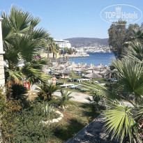 фото из отзыва ID 2181778