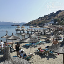 фото из отзыва ID 2181778