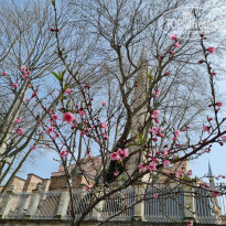 фото из отзыва ID 2181791