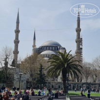 фото из отзыва ID 2181791