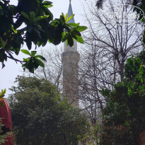 фото из отзыва ID 2181791