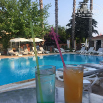 фото из отзыва ID 2181948