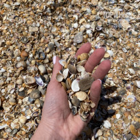 фото из отзыва ID 2182020