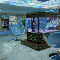 фото из отзыва ID 2182084