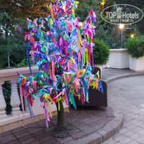 фото из отзыва ID 2182084