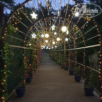 фото из отзыва ID 2182084