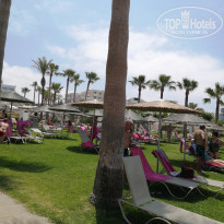 фото из отзыва ID 2182254