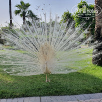 фото из отзыва ID 2182365