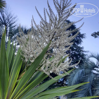 фото из отзыва ID 2182385