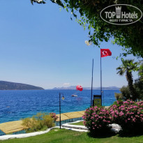 фото из отзыва ID 2182476