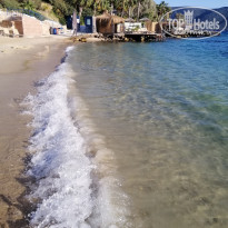 фото из отзыва ID 2182476