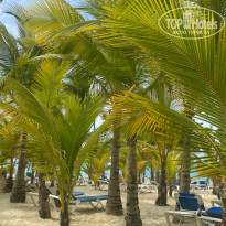 фото из отзыва ID 2182508