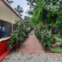 фото из отзыва ID 2182630