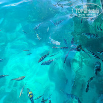 фото из отзыва ID 2182687