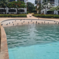 фото из отзыва ID 2182687