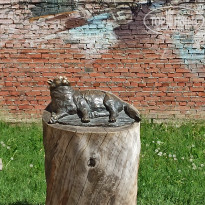 фото из отзыва ID 2182839