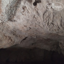 фото из отзыва ID 2182859