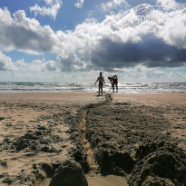 фото из отзыва ID 2182872