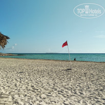 фото из отзыва ID 2182814