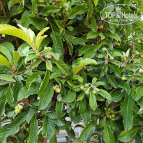 фото из отзыва ID 2182921