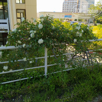 фото из отзыва ID 2182921