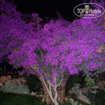 фото из отзыва ID 2183043