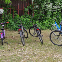 фото из отзыва ID 2183058