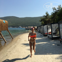 фото из отзыва ID 2183098