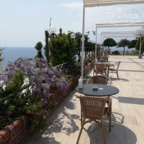 фото из отзыва ID 2183106