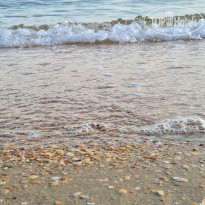 фото из отзыва ID 2183111