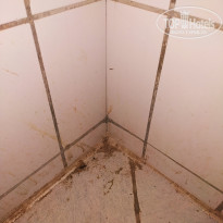 фото из отзыва ID 2183364