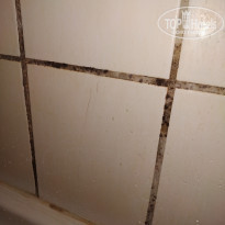 фото из отзыва ID 2183364