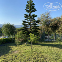 фото из отзыва ID 2183477