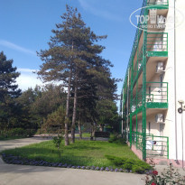 фото из отзыва ID 2182748