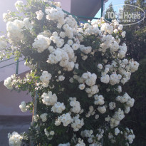 фото из отзыва ID 2182748