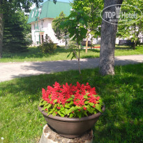 фото из отзыва ID 2182748