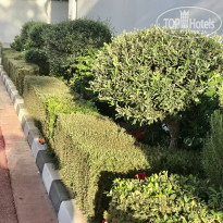 фото из отзыва ID 2183556