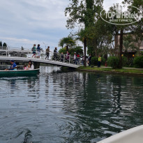 фото из отзыва ID 2183602