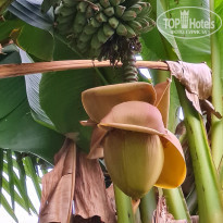 фото из отзыва ID 2183602