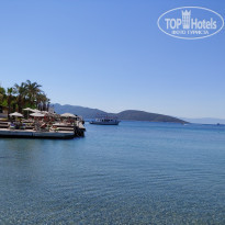 фото из отзыва ID 2183608