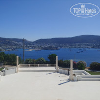 фото из отзыва ID 2183608