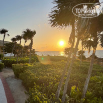 фото из отзыва ID 2182724