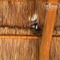 фото из отзыва ID 2182724