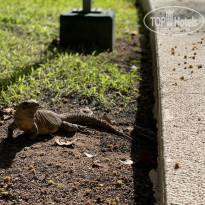 фото из отзыва ID 2182724