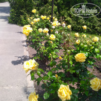 фото из отзыва ID 2182748