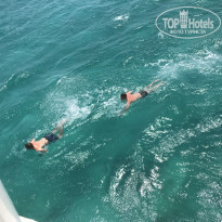 фото из отзыва ID 2183817