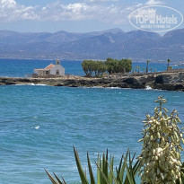 фото из отзыва ID 2183840