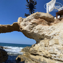 фото из отзыва ID 2183840