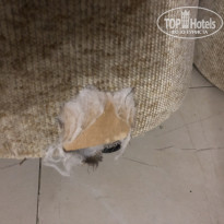 фото из отзыва ID 2183841