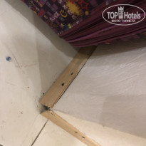 фото из отзыва ID 2183841